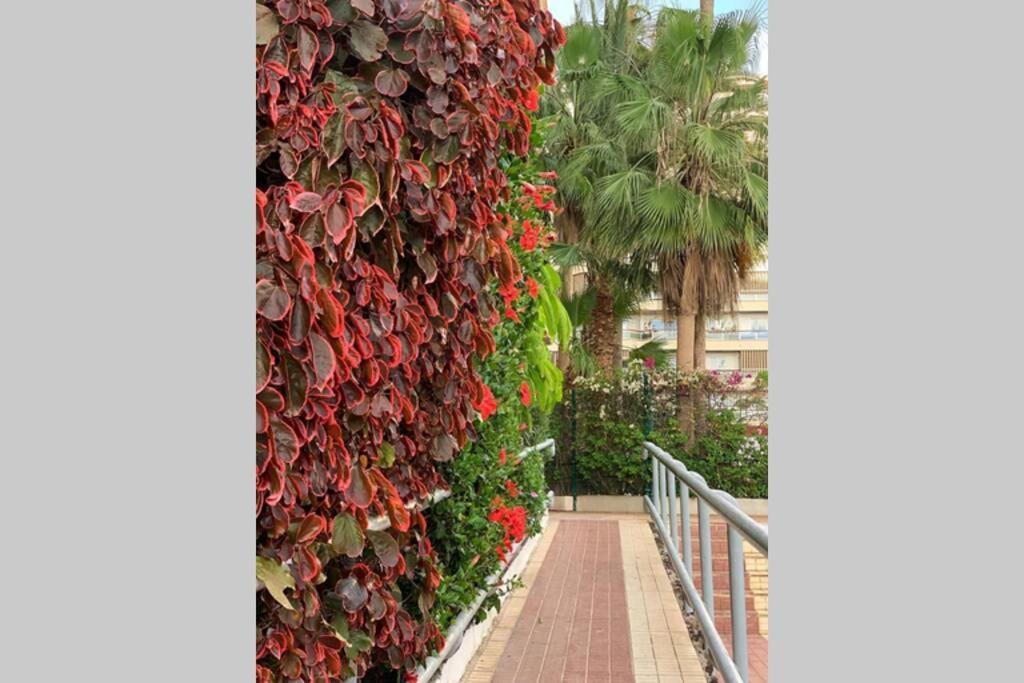 Apartamento Jardines del Sur, Ocean View  Buzanada Exterior foto